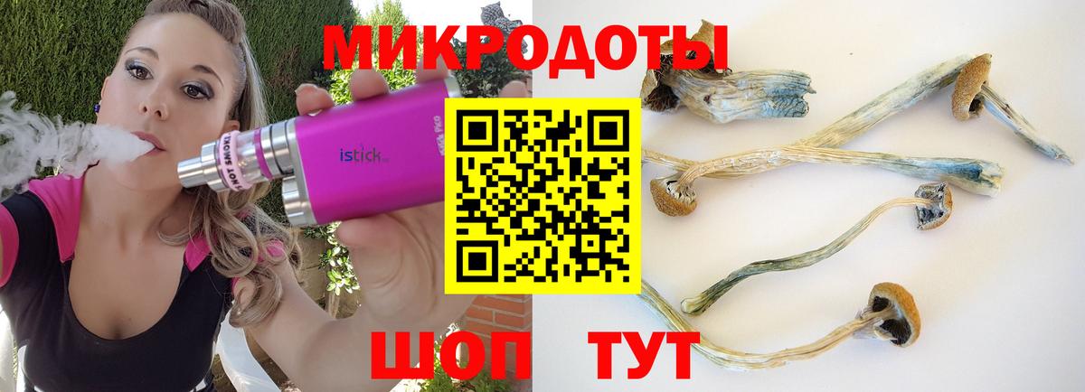 Псилоцибиновые грибы Psilocybe Славгород