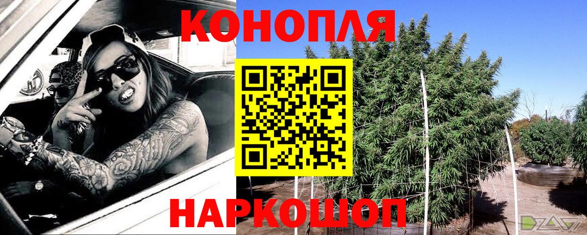 Каннабис AK-47  Шишки марихуана гибрид  Бошки Шишки семена  Канабис Ganja  Вход с VPN  Славгород 