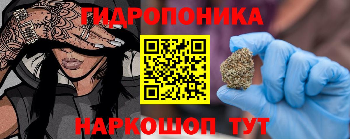 Конопля конопля Славгород